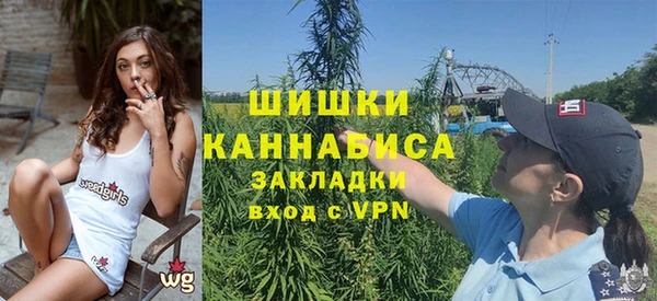 PSILOCYBIN Алексеевка