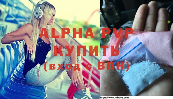 СК Алексин