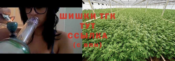PSILOCYBIN Алексеевка