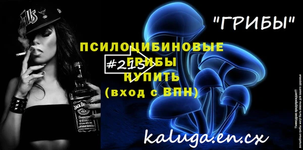 СК Алексин